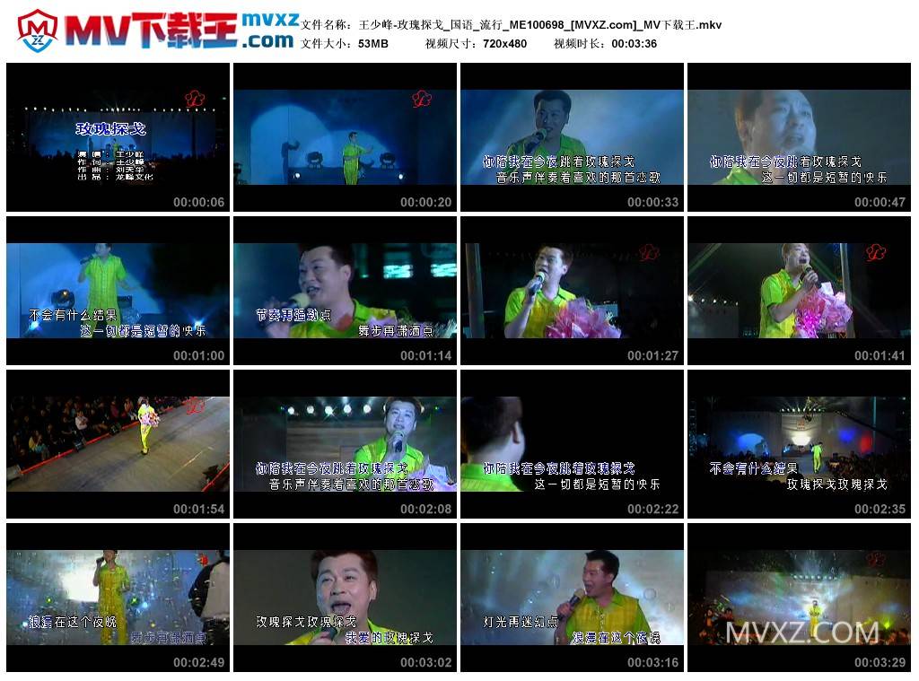 王少峰-玫瑰探戈_国语_流行_ME100698